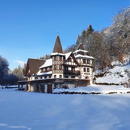 LohrLe Saint Moulin De La Petite Pierre别墅 外观 照片