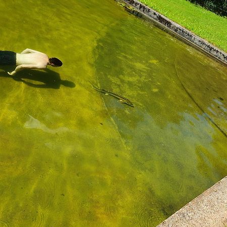 LohrLe Saint Moulin De La Petite Pierre别墅 外观 照片