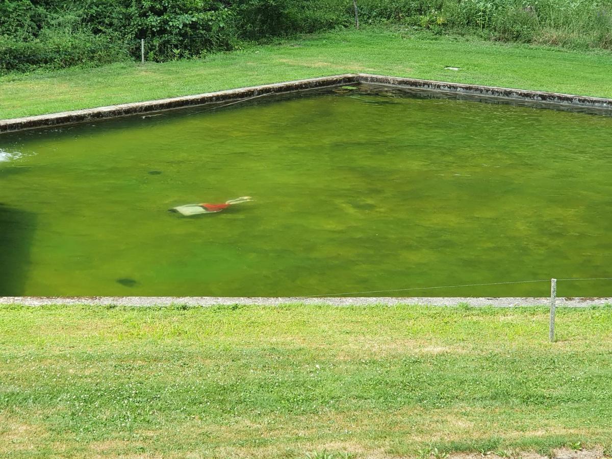 LohrLe Saint Moulin De La Petite Pierre别墅 外观 照片